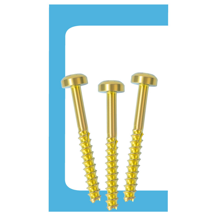 LCS Cannulated Screw